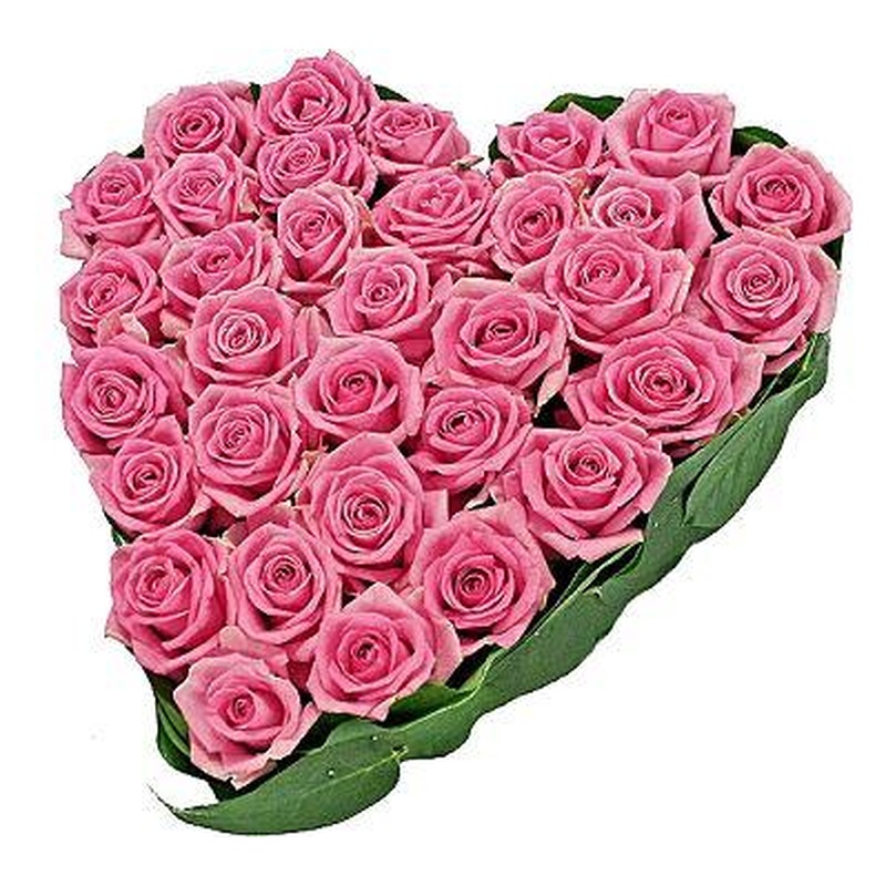 Classic Pink Roses Heart
