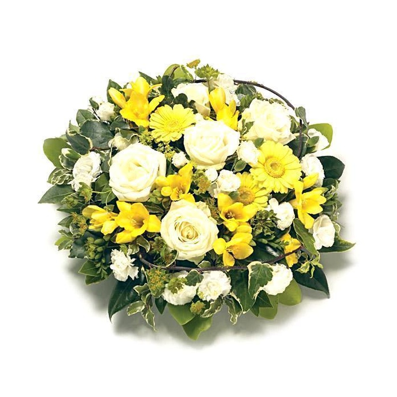 Classic Yellow Posy