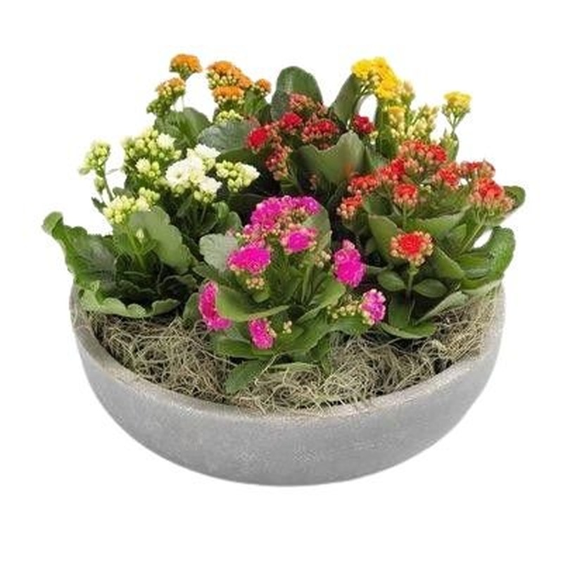 Colored Mini Kalandiva Ceramic Pot