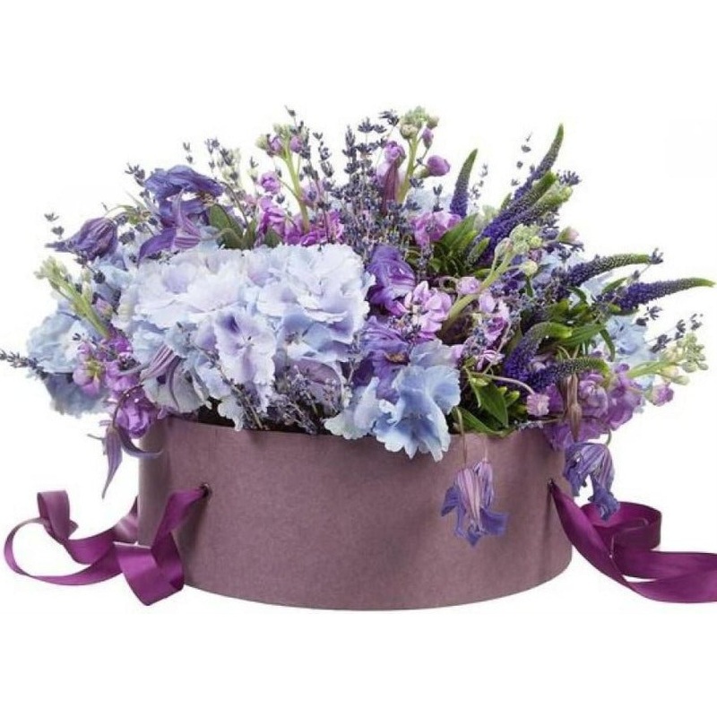 Lavender Field Box