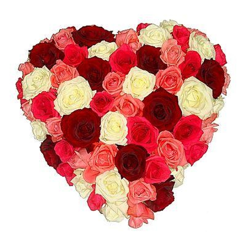 Luxury Colored Roses Heart
