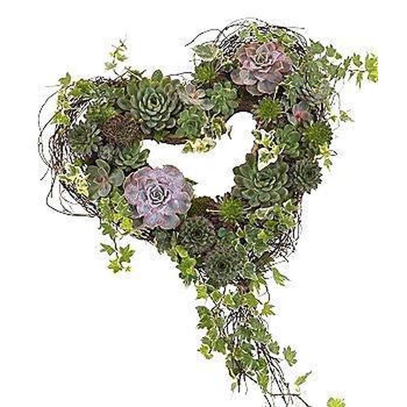 Modern Green Shadow Open Heart