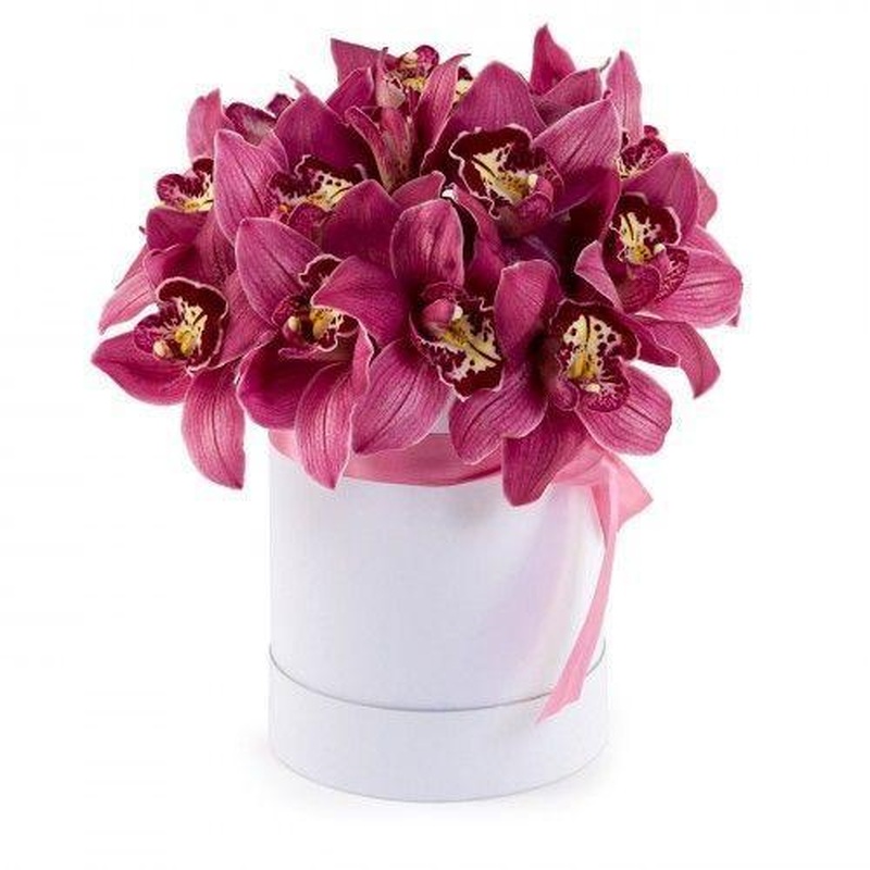 Luxury Cymbidium Orchids Box
