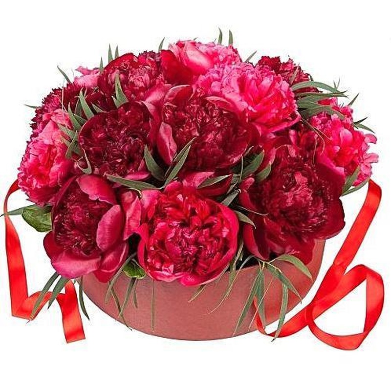 Luxury Red Peonies Box