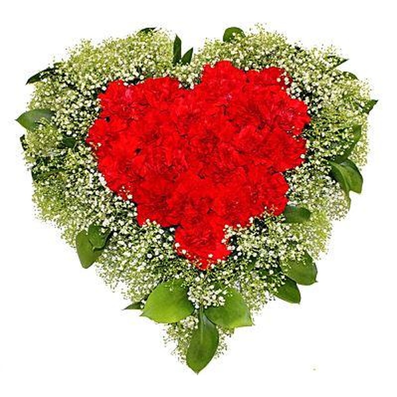 Red Carnations & Gypsophila Heart