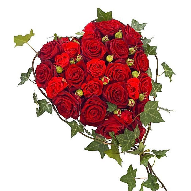 Red Roses & English Ivy Luxury Heart