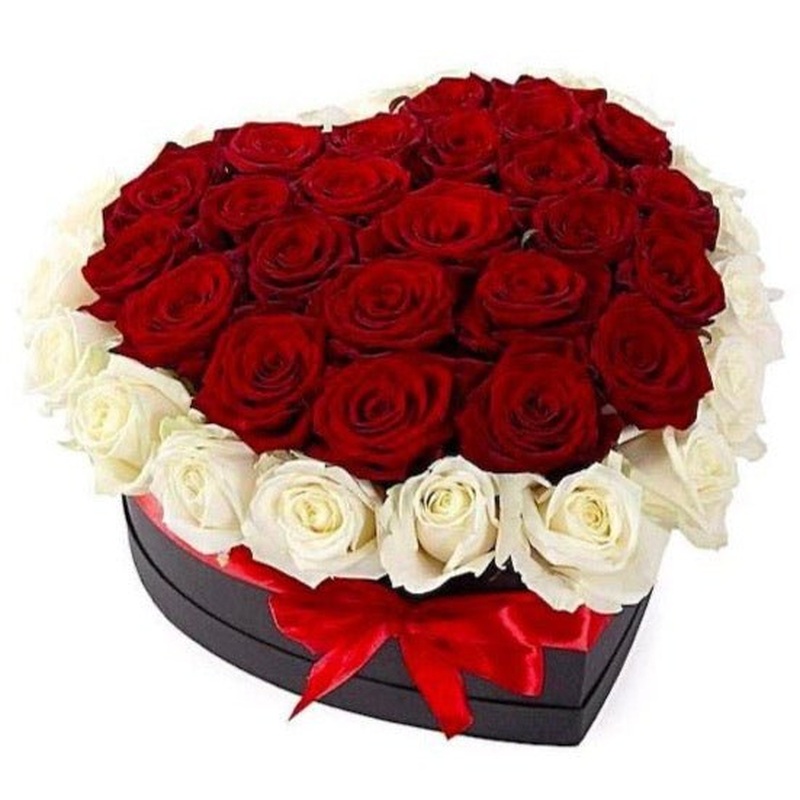 Red and White Roses in a Box