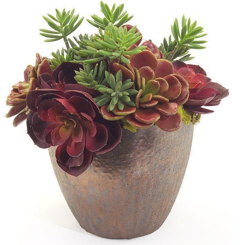 Succulent Ceramic Oval Pot