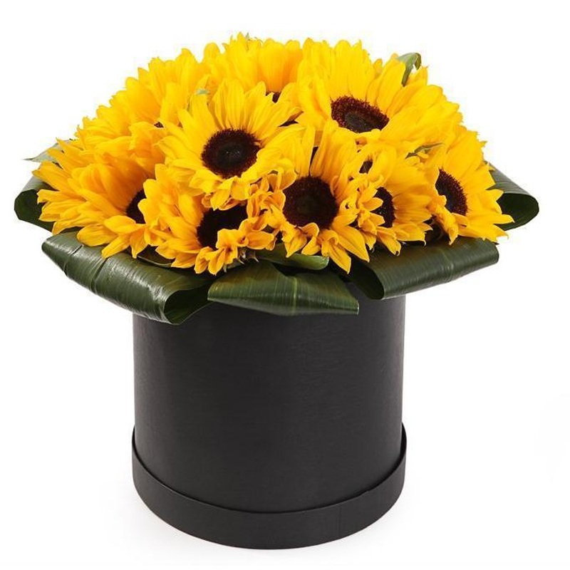 Sunflowers in a Box