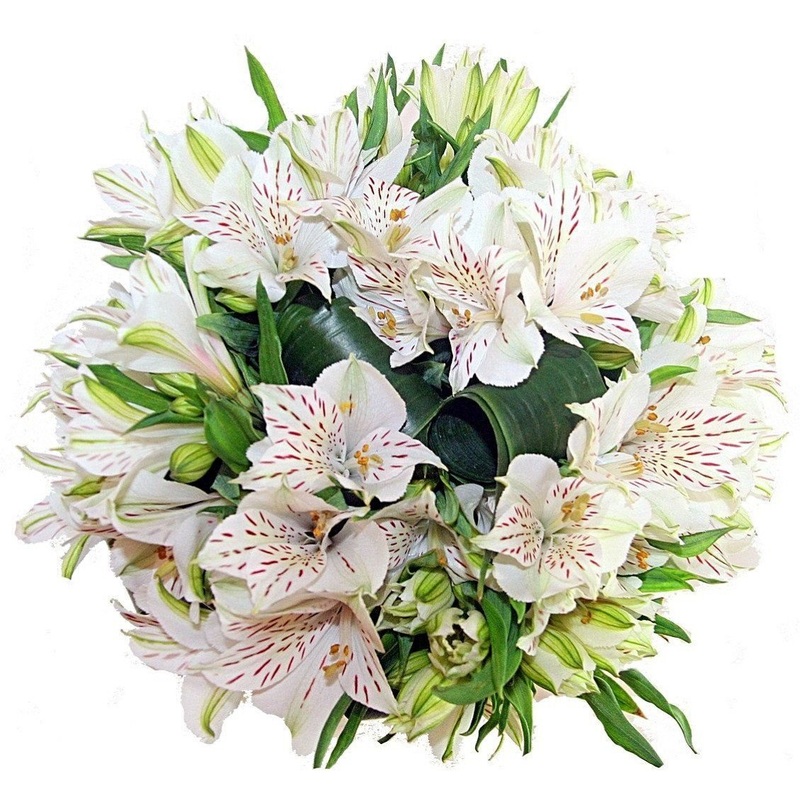 White Alstroemeria Bouquet