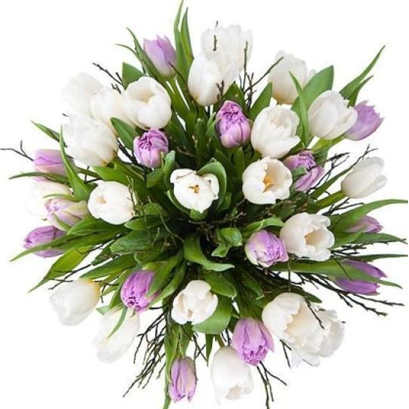 White & Double Lavender Tulips Bouquet with Greenery