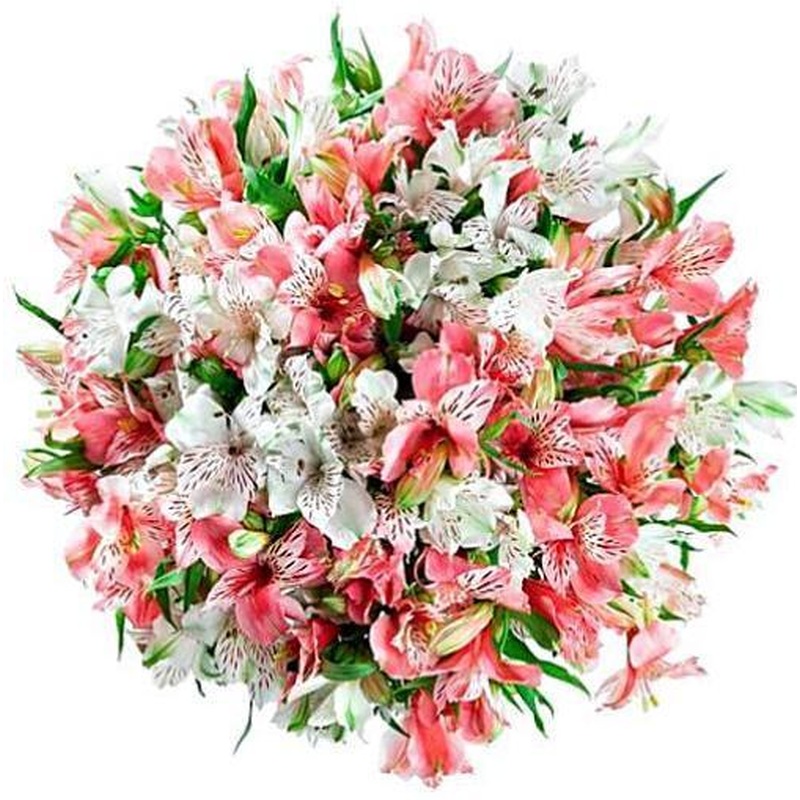 White & Pink Alstroemeria Bouquet
