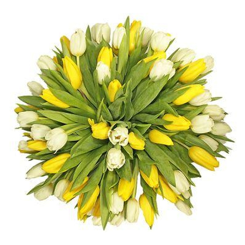 White & Yellow Tulips Bouquet