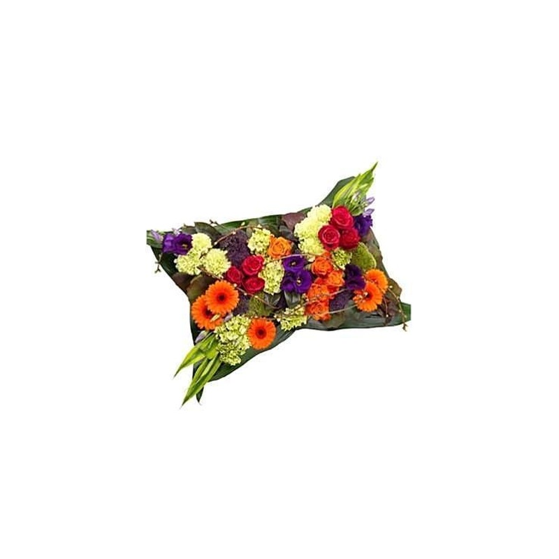 Vibrant Pillow
