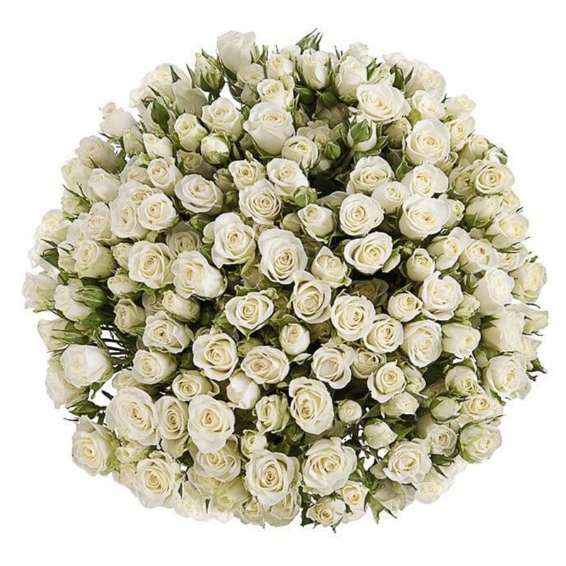 White Spray Roses Bouquet