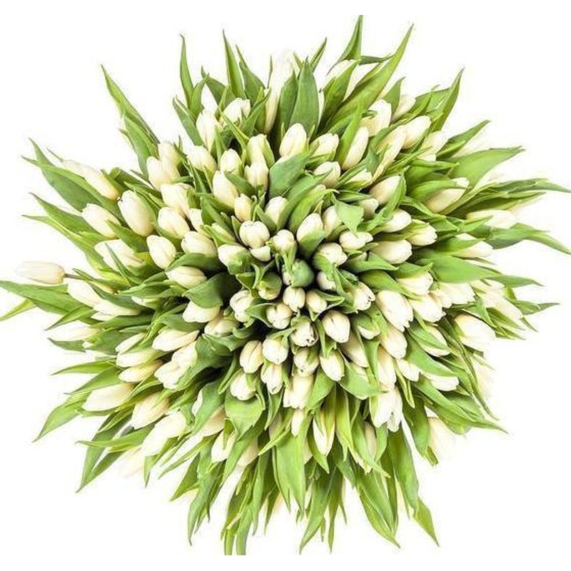 White Tulips Bouquet