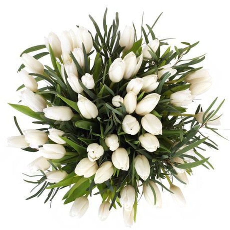 White Tulips with Greenery Bouquet