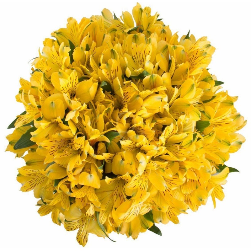 Yellow Alstroemeria Bouquet