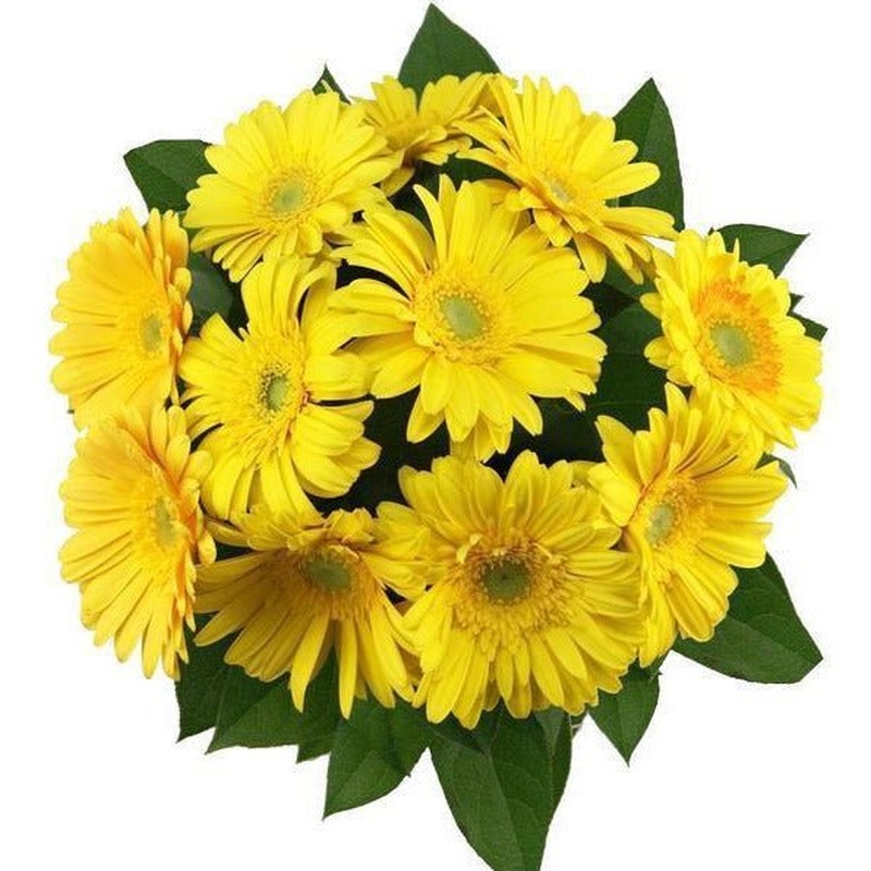 Yellow Gerbera with Salal Bouquet
