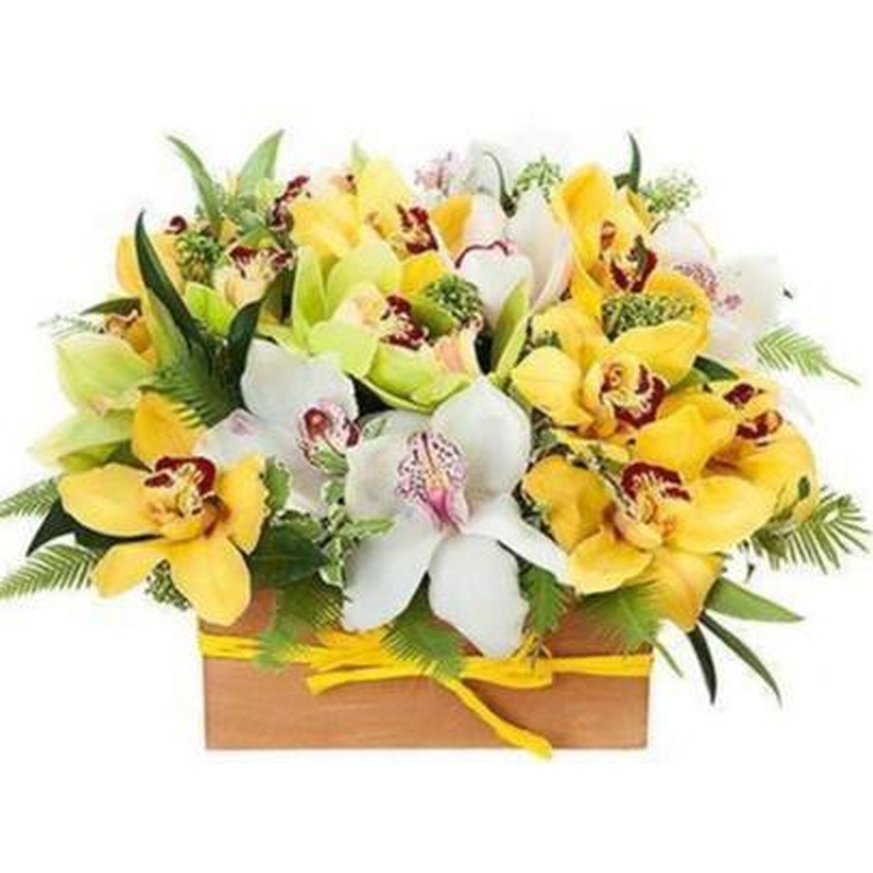 Yellow and White Cymbidium Box