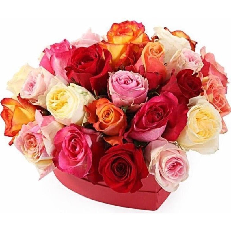 Colourful Roses in a Box