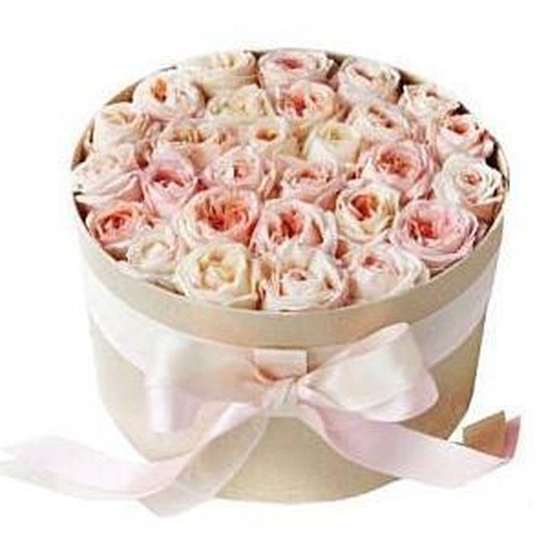 Light Peach Garden Roses Box