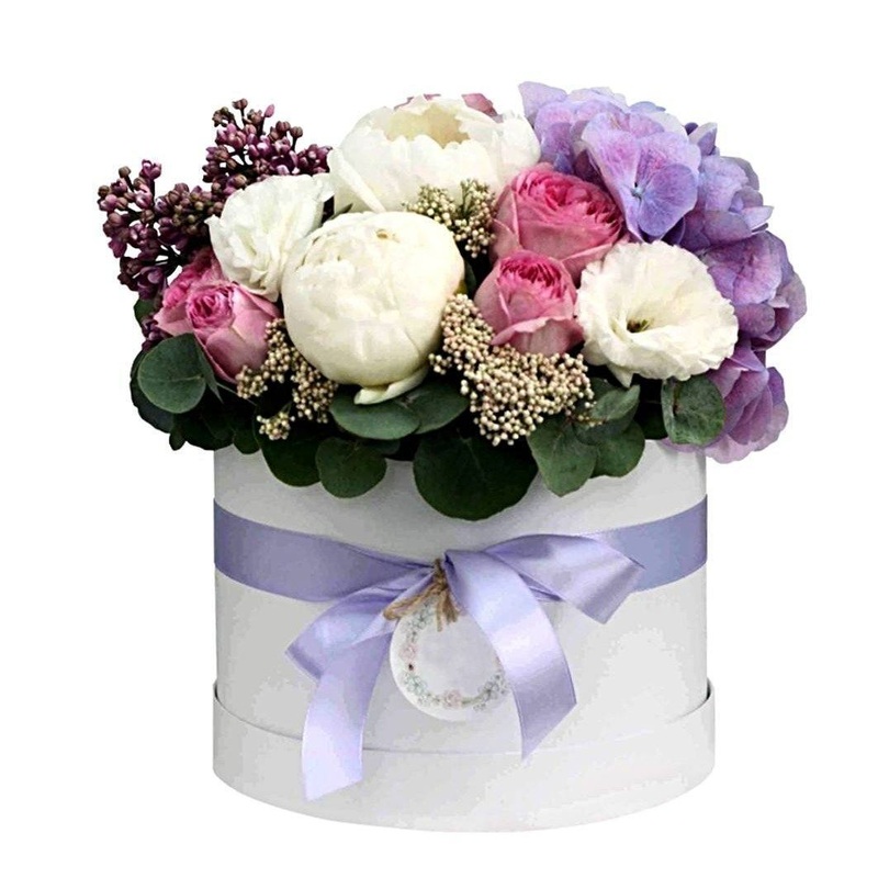 Sapphire Princess Box