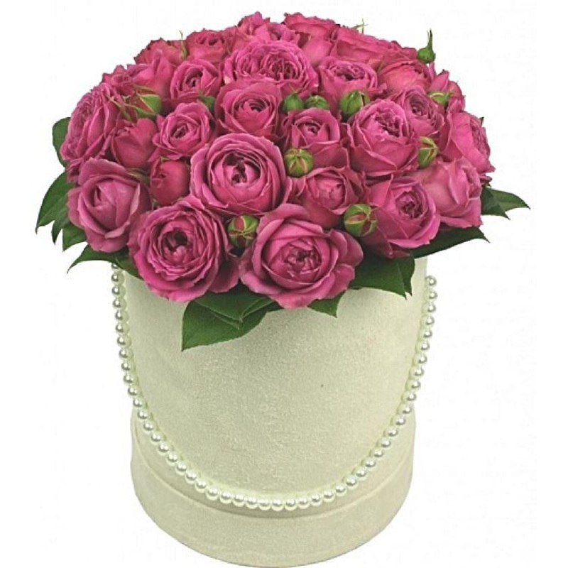 Cerise Spray Roses Box