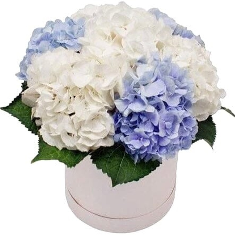Blue and White Hydrangea Box