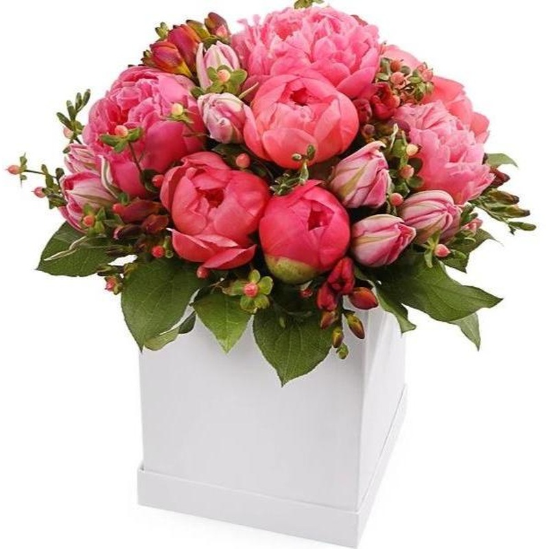 My Favourite Coral Box