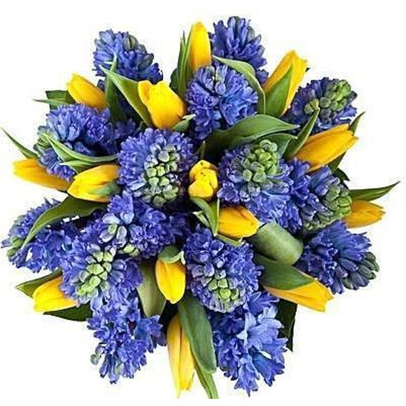 Yellow & Blue Bouquet