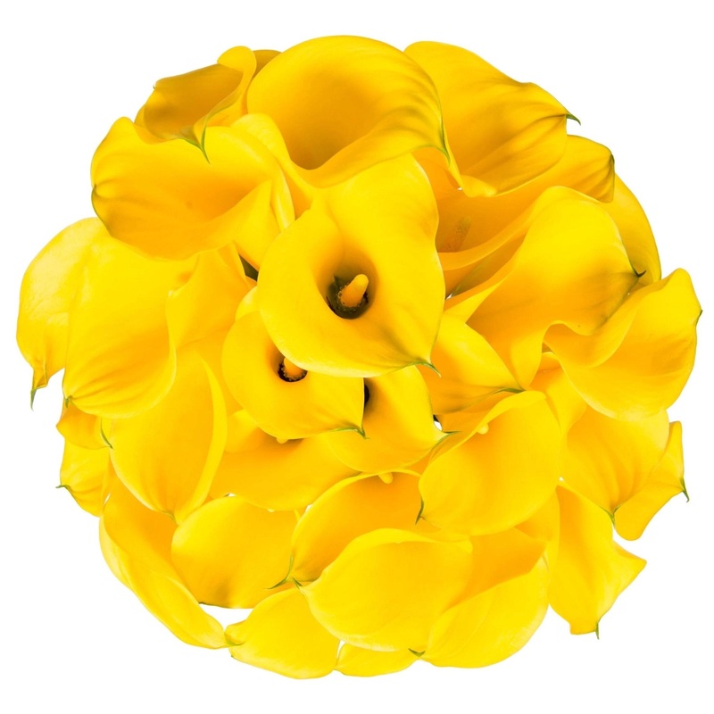 Yellow Calla Lily Bouquet