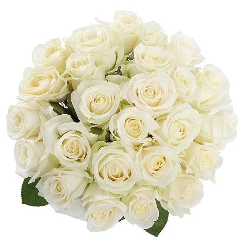 White Roses Bouquet