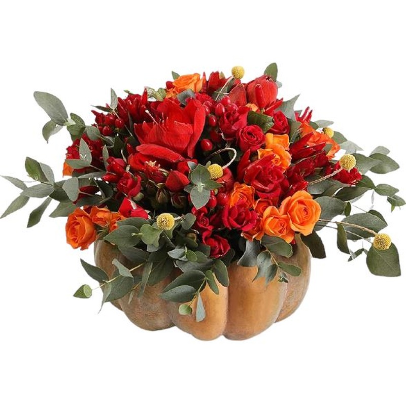 Amaryllis and Spray Roses Halloween Pumpkin