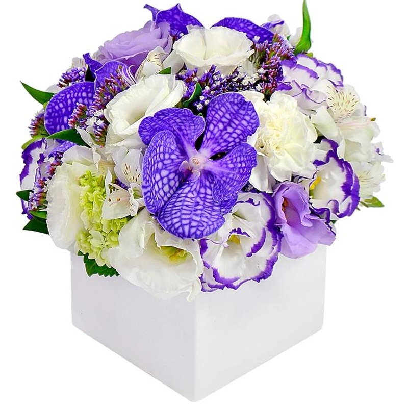 Purple Vanda and Lisianthus Signature Box