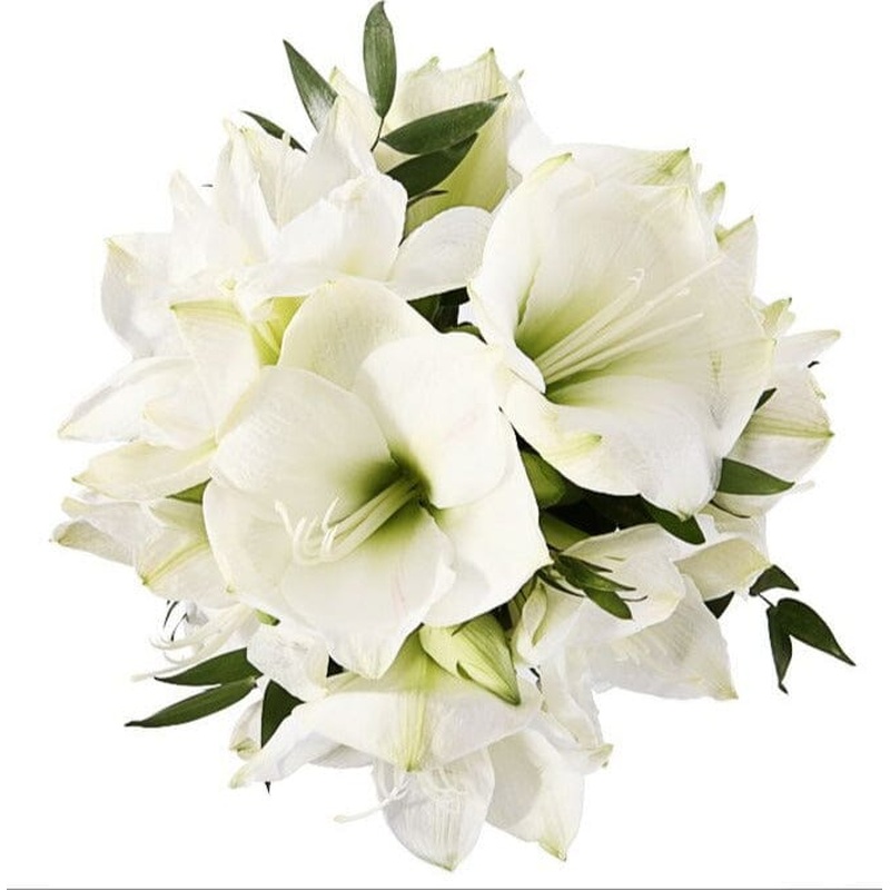White Amaryllis Bouquet