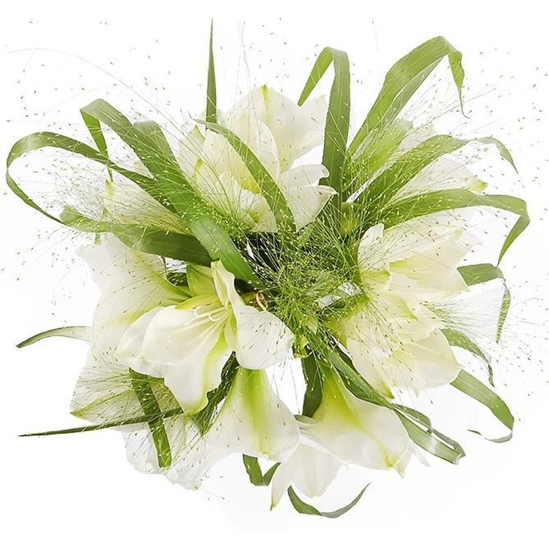 White Amaryllis in Grass Bouquet