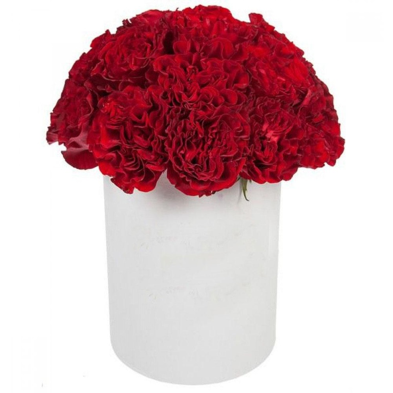 Delightful Carnations Box