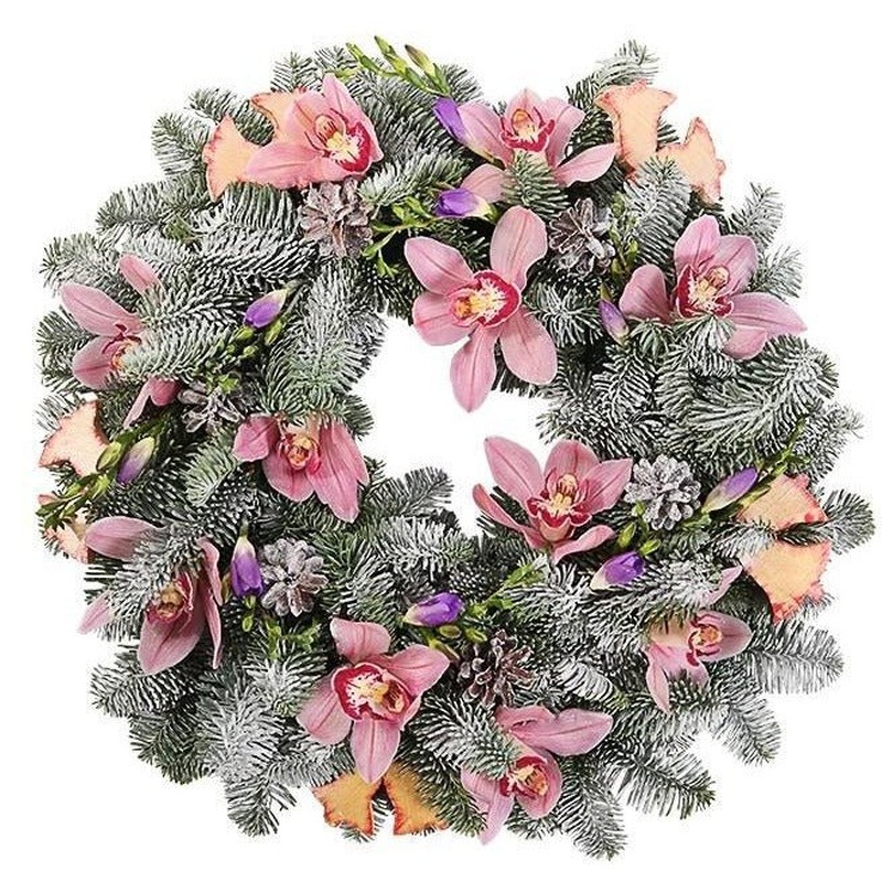 Snowing Cymbidium Orchids Christmas