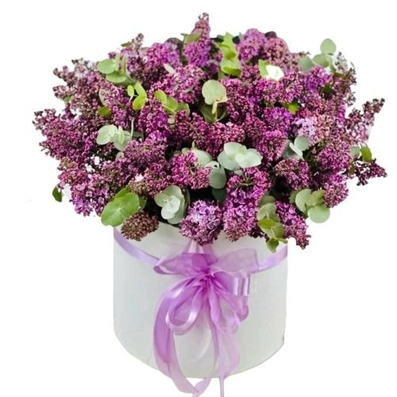 Box of Fragrant Lilac Flower with Eucalyptus
