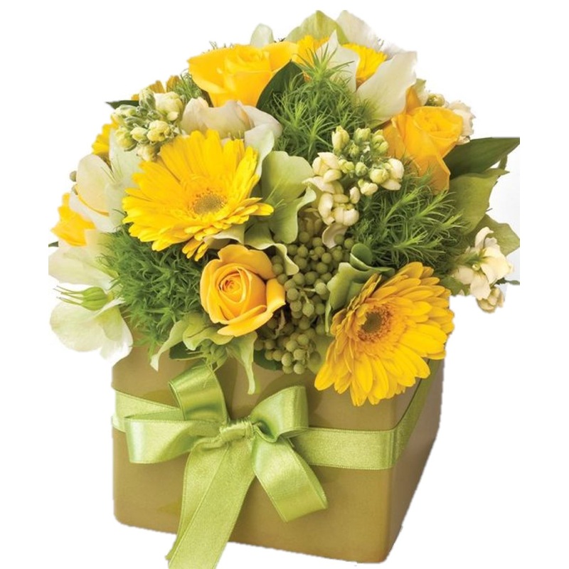 Citrus Twist Elegant Box