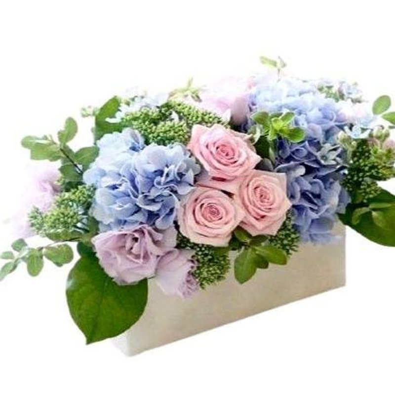 Pastel Box with Blue Hydrangea