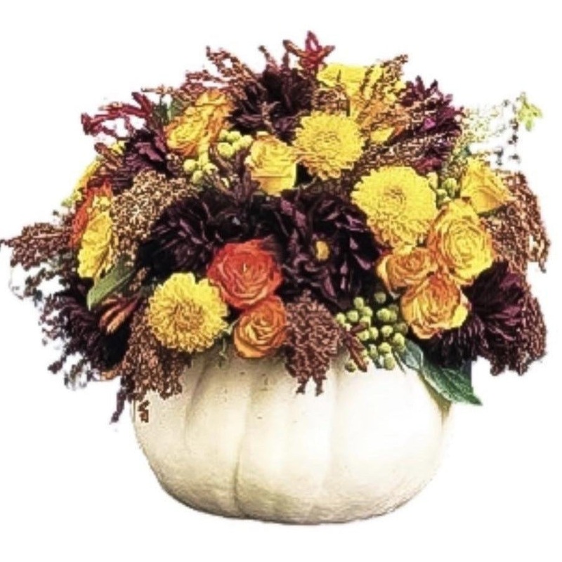 White Pretty Pumpkin