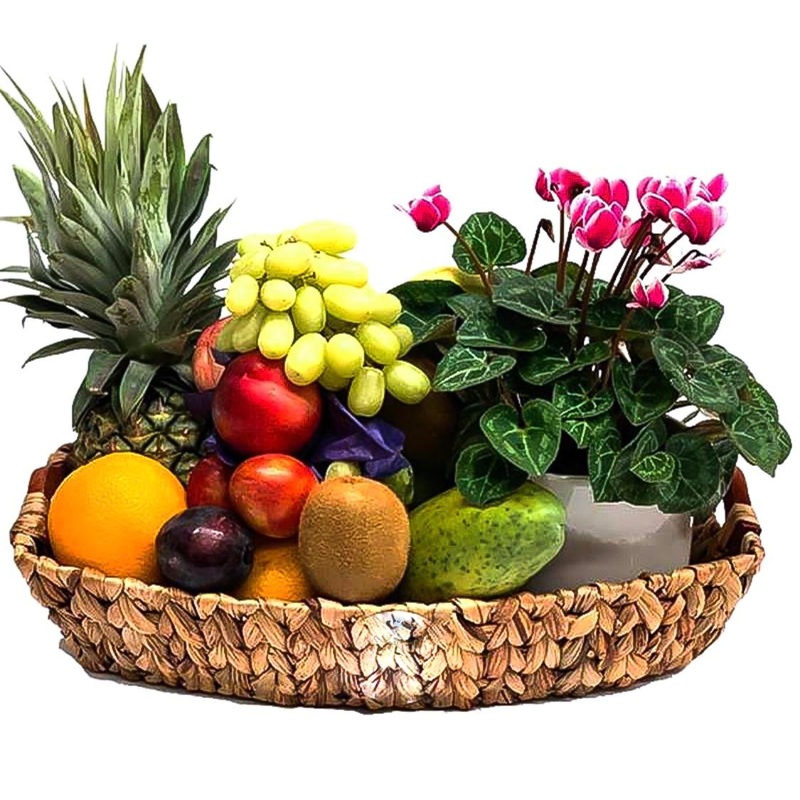 Fruit Basket with Cyclamen