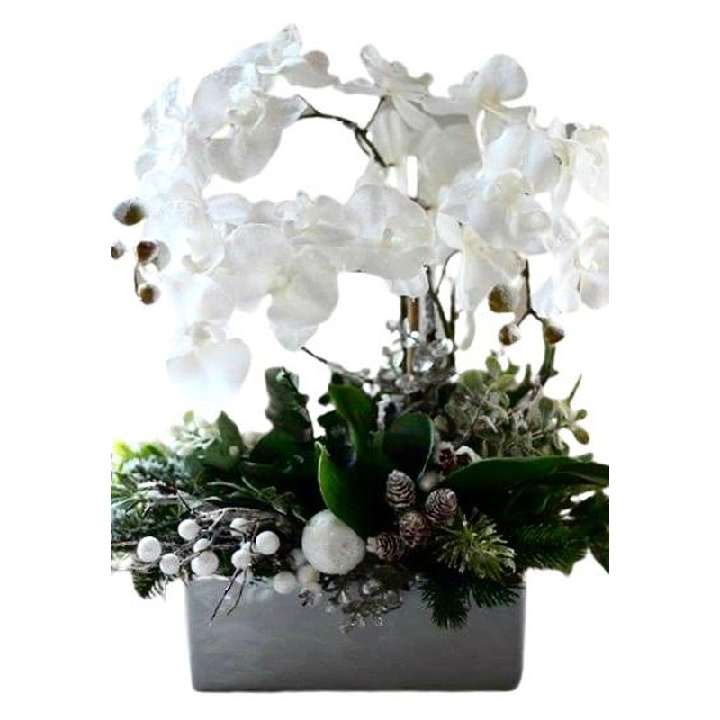 Winter Phaleonopsis Orchids Arrangement