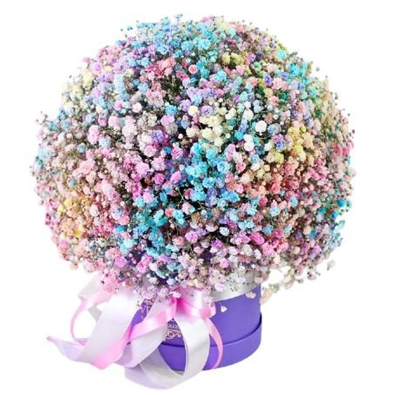 Box with a Colourful Gypsophila