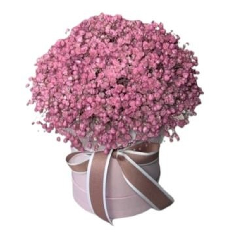 Box with Pink Gypsophila