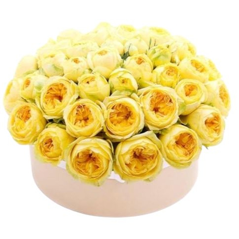 Garden Roses Box