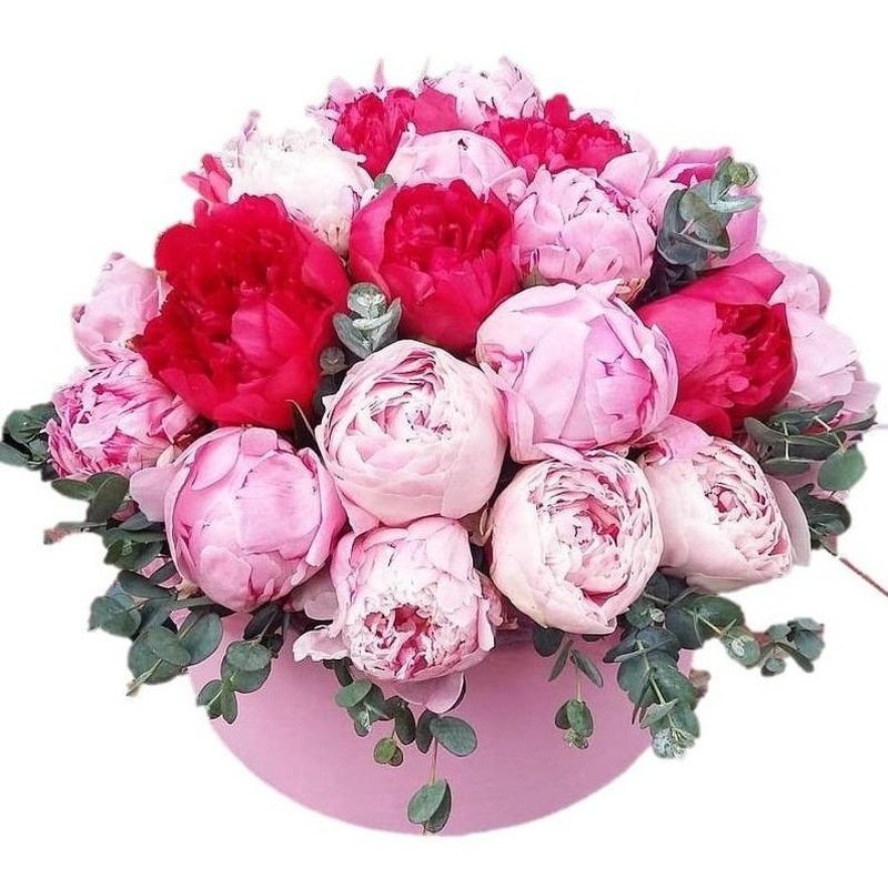 Pink and Cerise Peonies Box