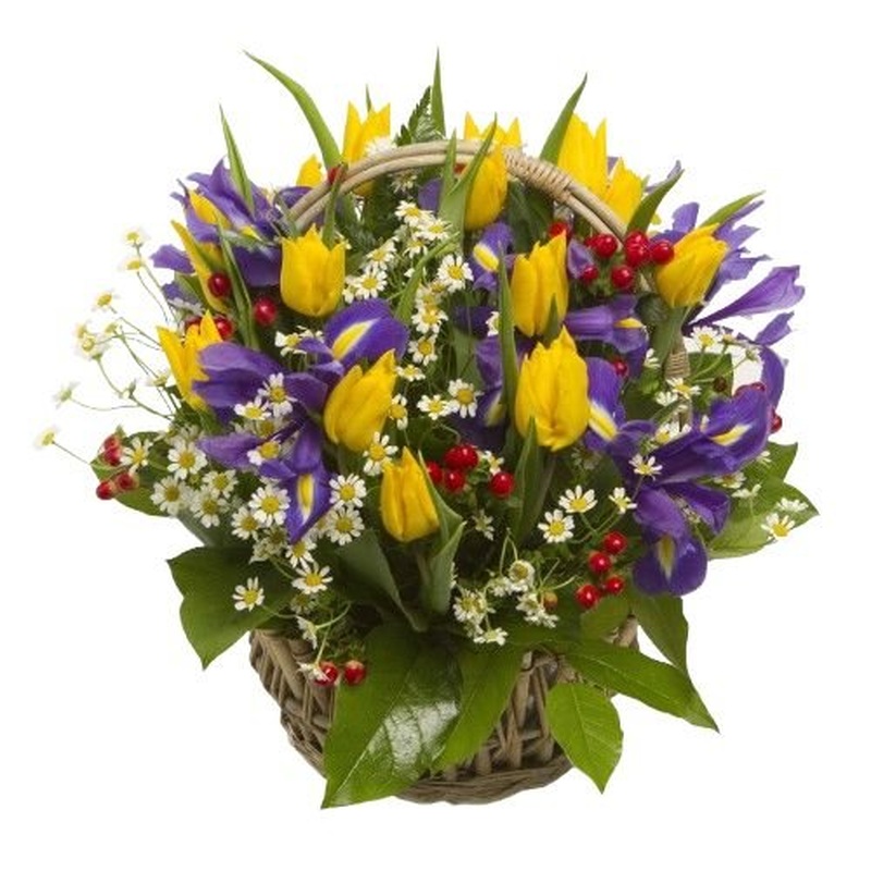 Yellow and Purple Basket